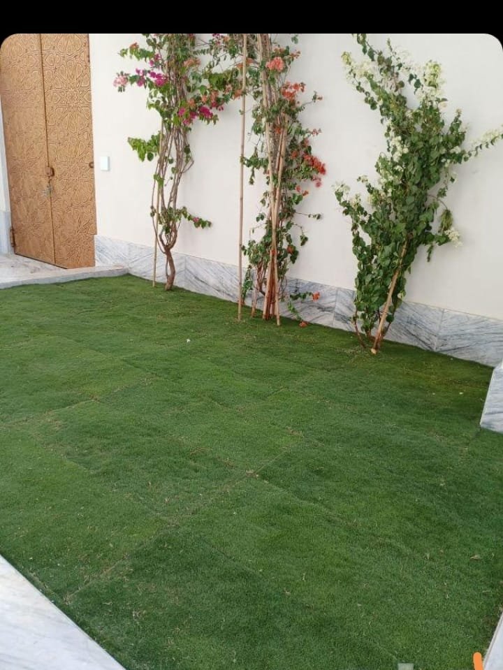 عمل تنسيق حدائق